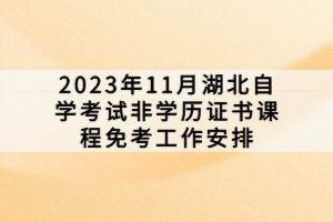 2023年11月湖北自學(xué)考試非學(xué)歷證書課程免考工作安排