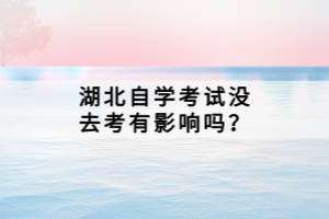 湖北自學(xué)考試沒去考有影響嗎？