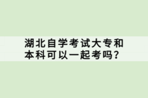 湖北自學考試大專和本科可以一起考嗎？