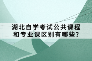 湖北自學考試公共課程和專業(yè)課區(qū)別有哪些？