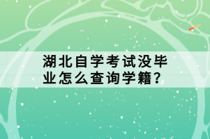 湖北自學(xué)考試沒(méi)畢業(yè)怎么查詢學(xué)籍？