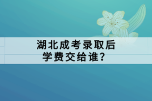 湖北自學考試考試考場的查詢方法和其他省一樣嗎？