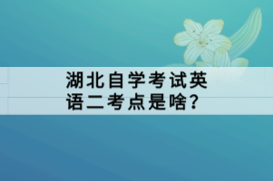 湖北自學(xué)考試英語二考點是啥？