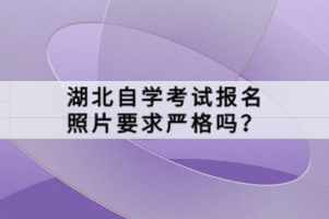 湖北自學(xué)考試報(bào)名照片要求嚴(yán)格嗎？