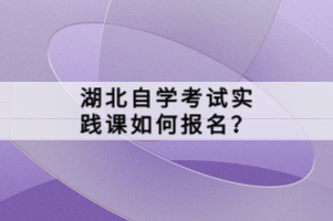 湖北自學(xué)考試實踐課如何報名？