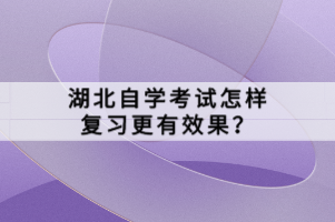 湖北自學(xué)考試怎樣復(fù)習更有效果？