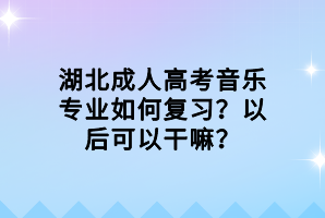 湖北成人高考音樂專業(yè)如何復(fù)習(xí)？以后可以干嘛？