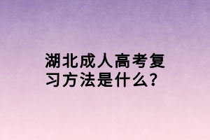 湖北成人高考復(fù)習(xí)方法是什么？