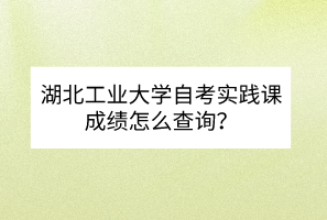 湖北工業(yè)大學自考實踐課成績怎么查詢？