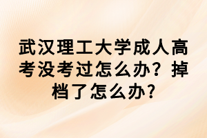 武漢理工大學(xué)成人高考沒考過怎么辦？掉檔了怎么辦?