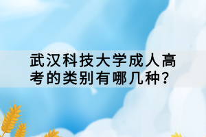 武漢科技大學成人高考的類別有哪幾種？
