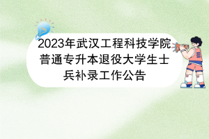 2023年武漢工程科技學(xué)院普通專升本退役大學(xué)生士兵補(bǔ)錄工作公告