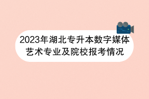 2023年湖北專升本數(shù)字媒體藝術(shù)專業(yè)及院校報(bào)考情況