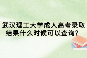 武漢理工大學成人高考錄取結果什么時候可以查詢？