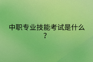 中職專業(yè)技能考試是什么？