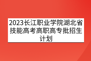 2023長江職業(yè)學(xué)院湖北省技能高考高職高專批招生計(jì)劃