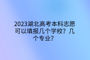 2023湖北高考本科志愿可以填報(bào)幾個(gè)學(xué)校？幾個(gè)專業(yè)？