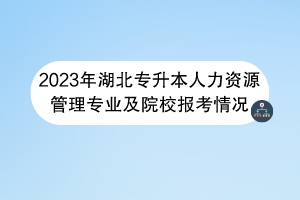 2023年湖北專升本人力資源管理專業(yè)及院校報考情況