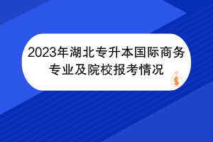 2023年湖北專升本國際商務(wù)專業(yè)及院校報(bào)考情況