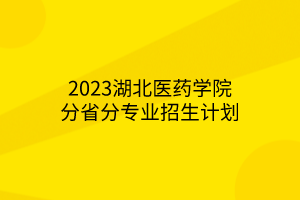 2023湖北醫(yī)藥學院分省分專業(yè)招生計劃