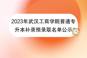 2023年武漢工商學(xué)院普通專升本補(bǔ)錄預(yù)錄取名單公示