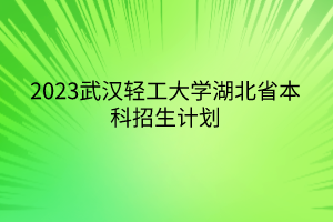 2023武漢輕工大學湖北省本科招生計劃