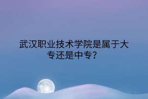 武漢職業(yè)技術(shù)學院是屬于大專還是中專？