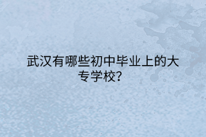 武漢有哪些初中畢業(yè)上的大專學(xué)校？