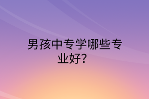 男孩中專學(xué)哪些專業(yè)好？