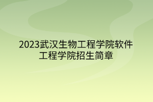 2023武漢生物工程學(xué)院軟件工程學(xué)院招生簡章