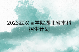 2023武漢商學(xué)院湖北省本科招生計(jì)劃