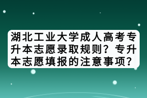 湖北工業(yè)大學成人高考專升本志愿錄取規(guī)則？專升本志愿填報的注意事項？