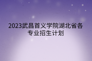 2023武昌首義學(xué)院湖北省各專業(yè)招生計劃