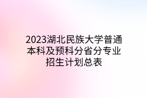 2023湖北民族大學(xué)普通本科及預(yù)科分省分專(zhuān)業(yè)招生計(jì)劃總表