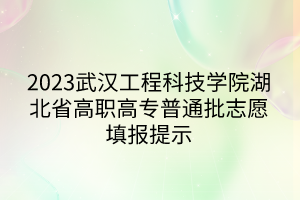 2023武漢工程科技學(xué)院湖北省高職高專普通批志愿填報提示