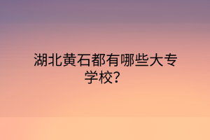 湖北黃石都有哪些大專學(xué)校？