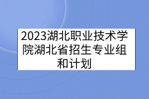 2023湖北職業(yè)技術(shù)學(xué)院湖北省招生專(zhuān)業(yè)組和計(jì)劃