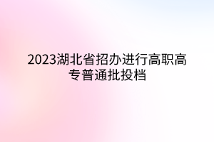 2023湖北省招辦進行高職高專普通批投檔