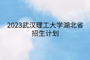 2023武漢理工大學(xué)湖北省招生計(jì)劃