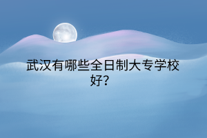 武漢有哪些全日制大專學(xué)校好？