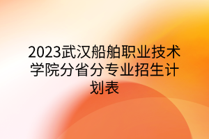 2023武漢船舶職業(yè)技術(shù)學(xué)院分省分專(zhuān)業(yè)招生計(jì)劃表