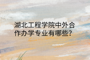 湖北工程學(xué)院中外合作辦學(xué)專業(yè)有哪些？