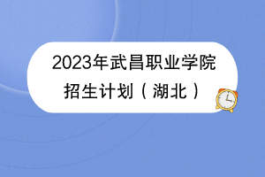 2023年武昌職業(yè)學院招生計劃（湖北）