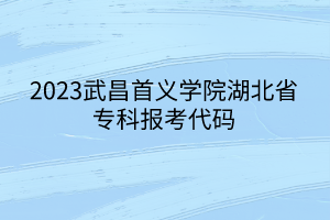 2023武昌首義學院湖北省?？茍罂即a