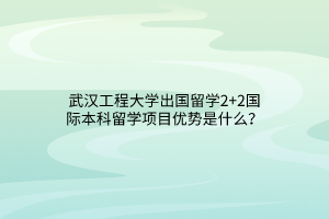 武漢工程大學(xué)出國(guó)留學(xué)2+2國(guó)際本科留學(xué)項(xiàng)目?jī)?yōu)勢(shì)是什么？