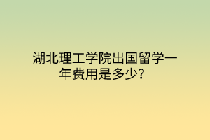 湖北理工學院出國留學一年費用是多少？