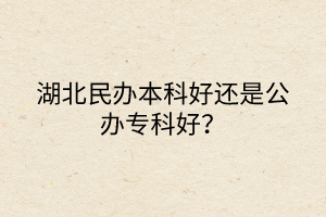 湖北民辦本科好還是公辦?？坪?？