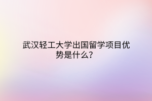 武漢輕工大學(xué)出國留學(xué)項目優(yōu)勢是什么？