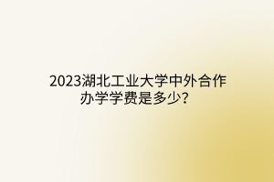 2023湖北工業(yè)大學(xué)中外合作辦學(xué)學(xué)費(fèi)是多少？