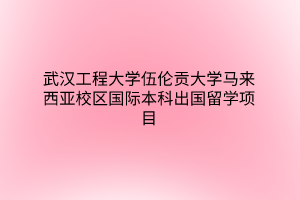 武漢工程大學(xué)伍倫貢大學(xué)馬來(lái)西亞校區(qū)國(guó)際本科出國(guó)留學(xué)項(xiàng)目